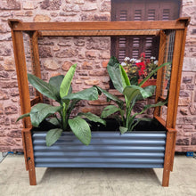 Load image into Gallery viewer, Front view of the Mr Fox in a Box wicking planter box, highlighting its modern design and efficient self-watering features for organic gardening.