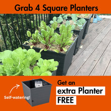 Load image into Gallery viewer, WaterUps Square Planter