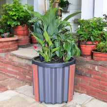 Load image into Gallery viewer, Eco-friendly Ecoboard planter pot with matching frame for sustainable gardening
