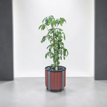 Load image into Gallery viewer, Front view of the Foxtrot XL outdoor Colorbond planter